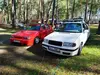 favorit & felicie - Felinka 1.3mpi